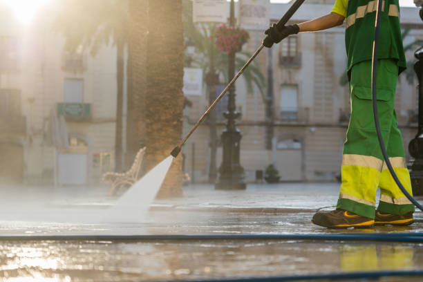 Best Roof Washing  in Merian, ID